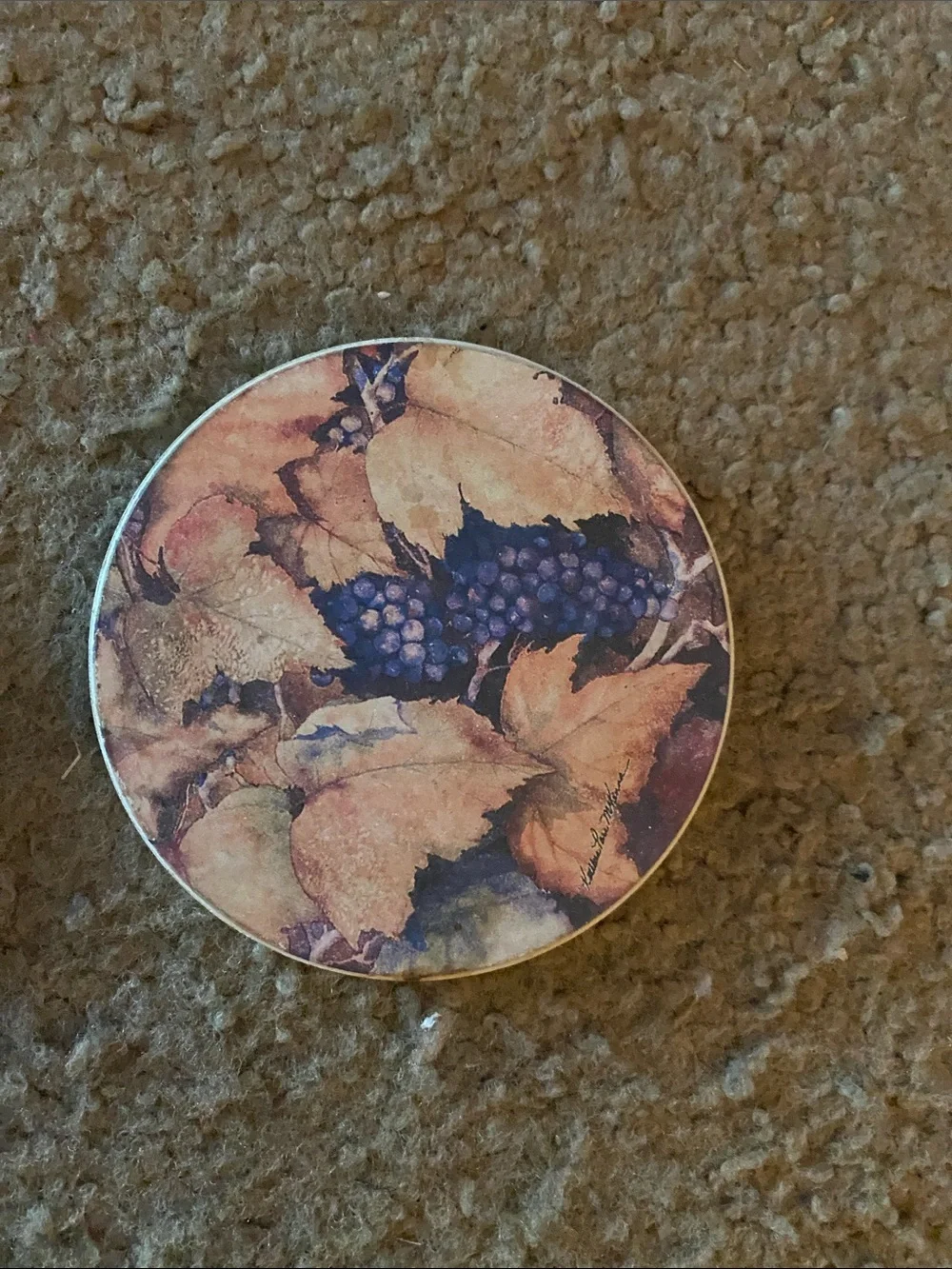 Grapevine Round Coaster Set - Multicolor Decorative Drink Coasters (Set of 4)